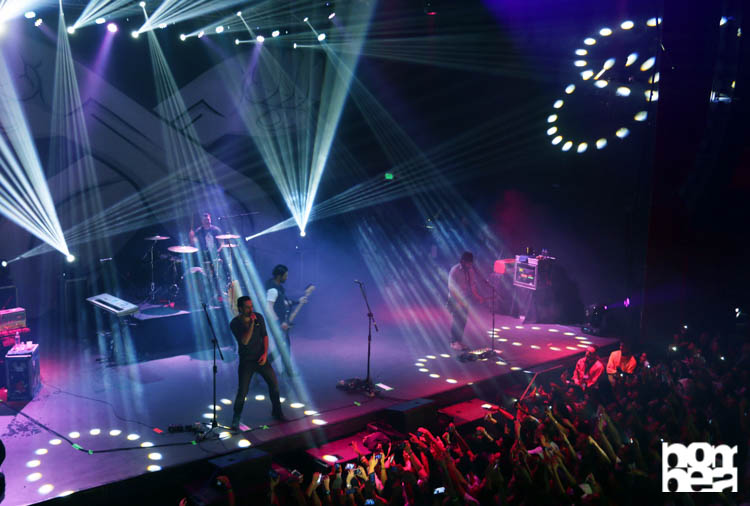 Panda Bogotá - Foto- Valería Murcia-12