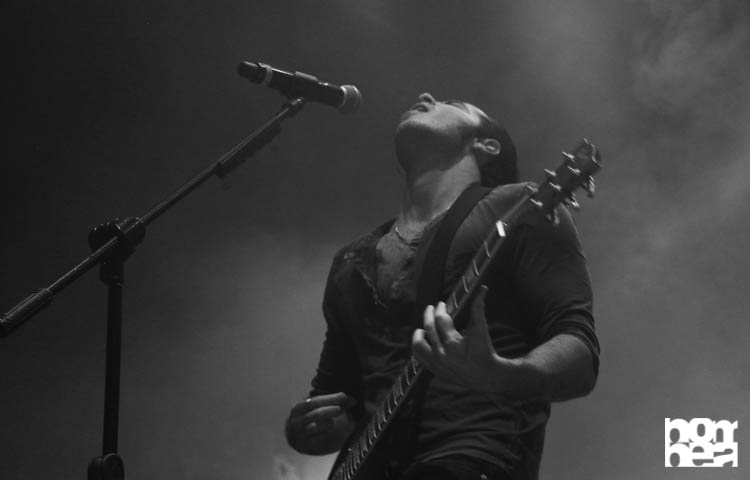 Panda Bogotá - Foto- Valería Murcia-6