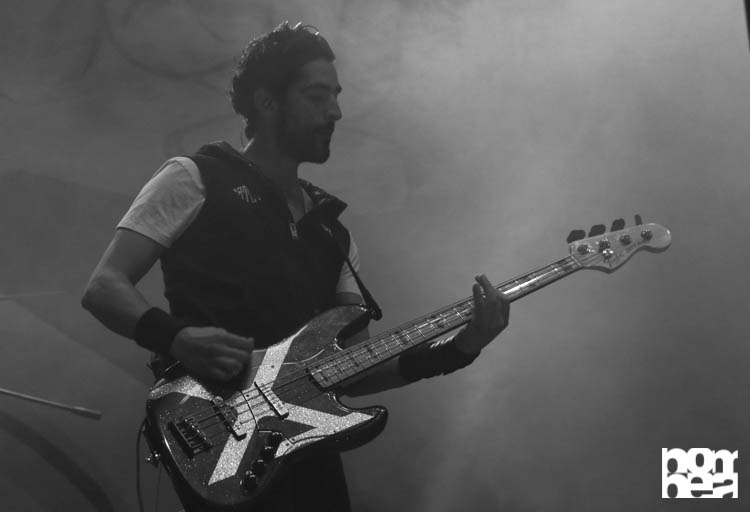 Panda Bogotá - Foto- Valería Murcia