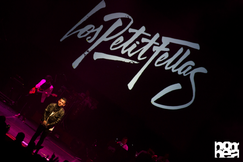 los petitfellas julio mario santodomingo jazz-12