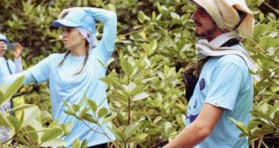 Jardín del paraíso