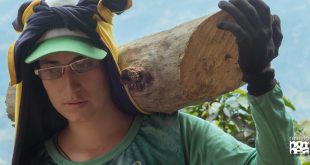 Andariega retrata vida cafetera colombiana