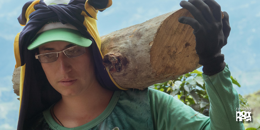 Andariega retrata vida cafetera colombiana